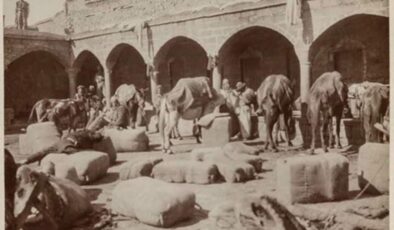 Diyarbakır sülüklü han…