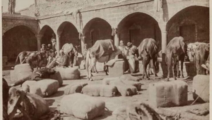 Diyarbakır sülüklü han…