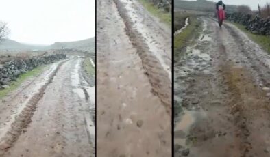 Ergani’de ulaşılamayan bir köy: Yol istiyoruz