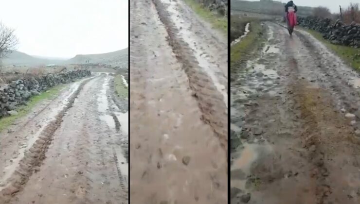 Ergani’de ulaşılamayan bir köy: Yol istiyoruz