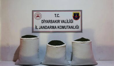 Jandarma’dan uyuşturucu operasyonu