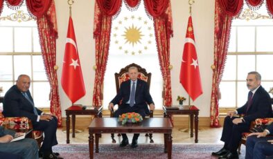 Cumhurbaşkanı Erdoğan, Mısır Dışişleri Bakanı Şukri’yi kabul etti