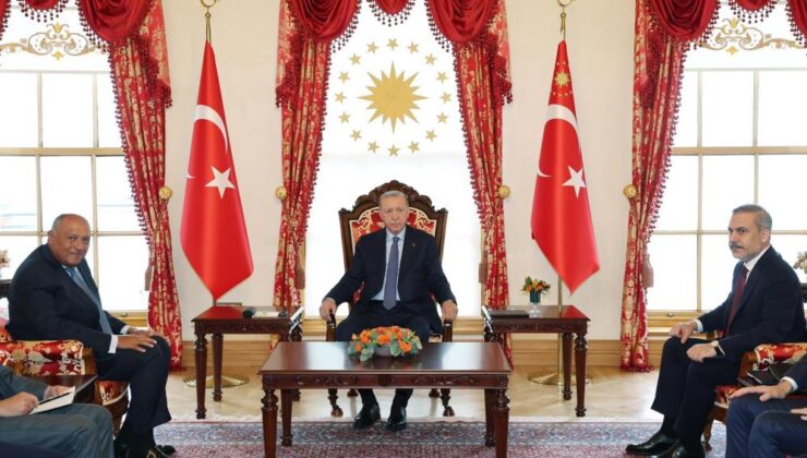 Cumhurbaşkanı Erdoğan, Mısır Dışişleri Bakanı Şukri’yi kabul etti