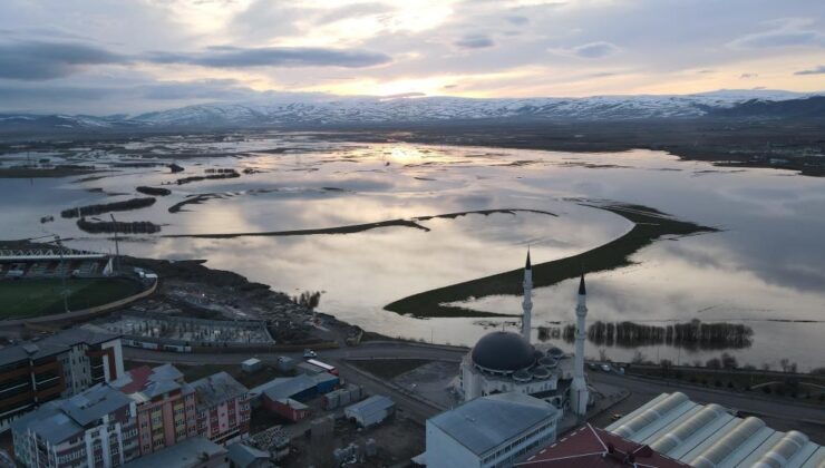 Ardahan ovası nehir taşmasıyla göle döndü