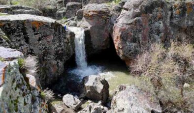 Ağrı’da baharla birlikte canlanan doğa göz kamaştırdı