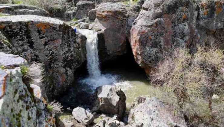 Ağrı’da baharla birlikte canlanan doğa göz kamaştırdı