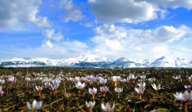 Erzurum’da kar çiçekleri görsel şölen