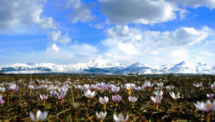 Erzurum’da kar çiçekleri görsel şölen