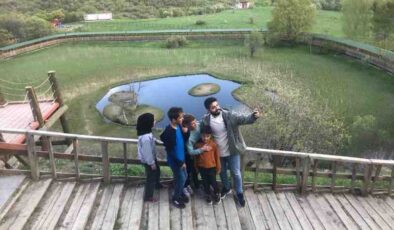 Bingöl’ün doğa harikası yüzen adalar yaz aylarıyla birlikte yeşile büründü