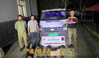 Bitlis’te Keklik avcılarına büyük ceza