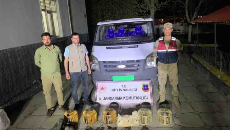 Bitlis’te Keklik avcılarına büyük ceza