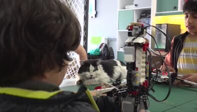 BİLSEM’in yeni maskotu: Yaralı Kedi Einstein