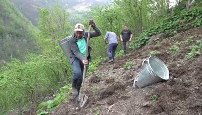 Dik yamaçlardaki tarım arazilerini toprak taşıyarak ekime hazırlıyorlar