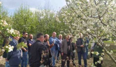 Erzincan’da uygulamalı “Meyve Ağacı Budama” kursu verildi