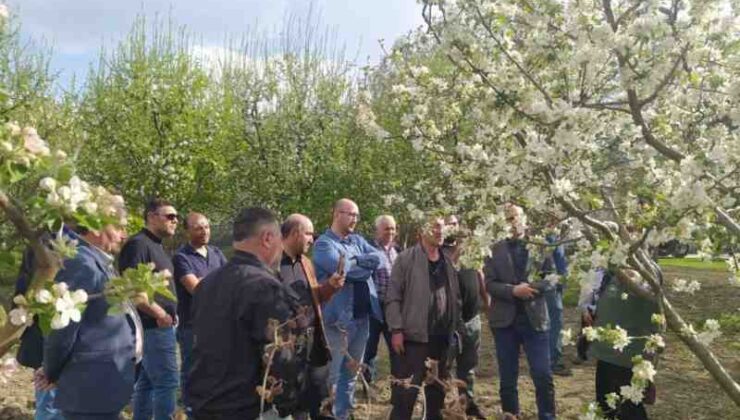 Erzincan’da uygulamalı “Meyve Ağacı Budama” kursu verildi