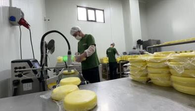 Girişimci süt ürünlerini artırarak istihdam sağladı