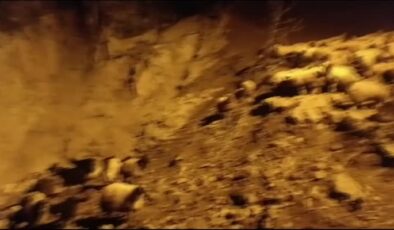 Hakkari’de heyelan küçükbaş hayvanları gömdü
