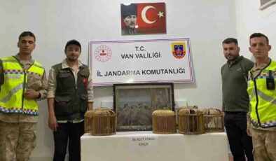 Kafes avcılarına rekor ceza