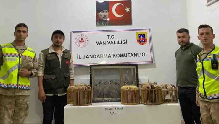 Kafes avcılarına rekor ceza