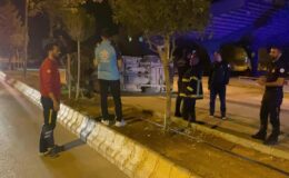 Adıyaman’da kamyonet refüje çarptı