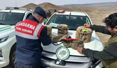 Kars’ta kaçak avcılara büyük ceza kesildi