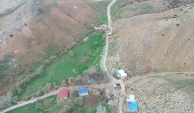 Ovacık’ta baharla gelen hayvan bakımı yoğunlaştı