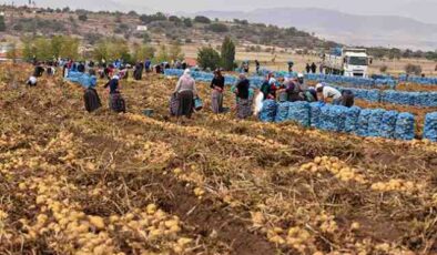 Mevsimlik tarım işçilerine yeni düzenleme Resmi Gazete’de