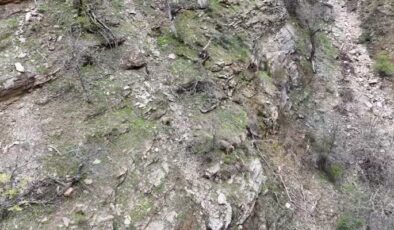 Munzur Vadisi’nde Bozayılar dronla görüntülendi