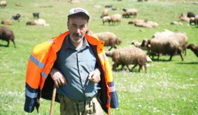 Muş’ta 40 bin TL’ye çoban bulunamıyor