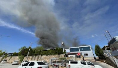Şanlıurfa’da tekstil fabrikasında yangın çıktı