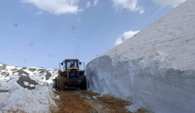 Siirt’te kaya parçaları ve kar yolları kapattı