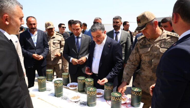 Şırnak’ta yer fıstığı için büyük destek