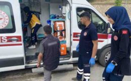 Sokak köpeği kazaya neden oldu: 2 yaralı