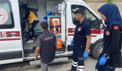 Sokak köpeği kazaya neden oldu: 2 yaralı