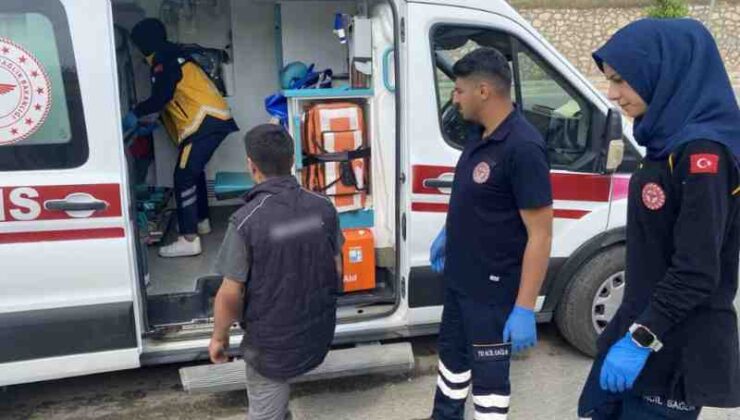 Sokak köpeği kazaya neden oldu: 2 yaralı