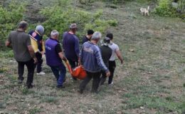 Tunceli’de bir adam ayı saldırısında yaralandı