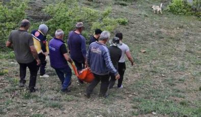 Tunceli’de bir adam ayı saldırısında yaralandı