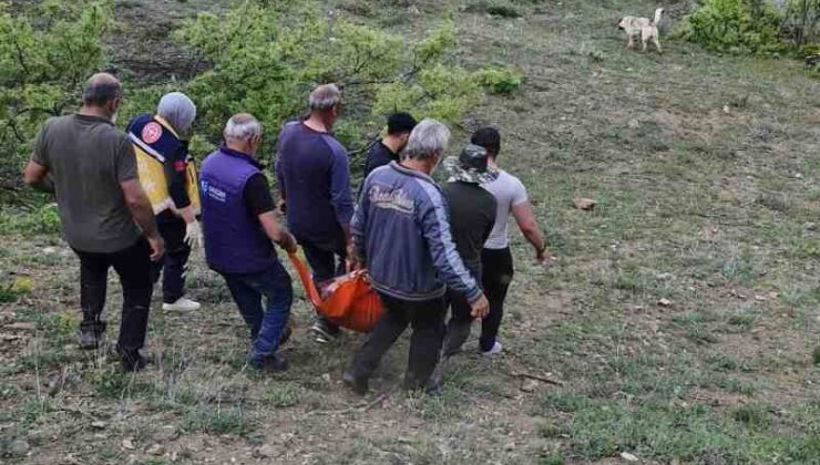 Tunceli’de bir adam ayı saldırısında yaralandı