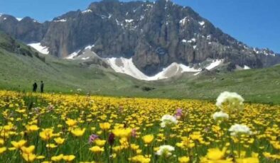 Tunceli’nin çevre tehdidi