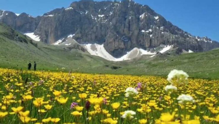 Tunceli’nin çevre tehdidi