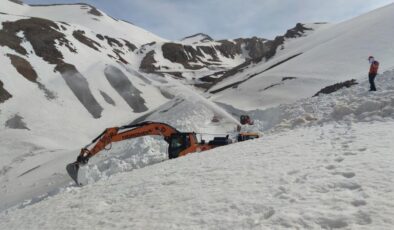 Van-Bahçesaray yolu kar altında