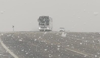 Van-Hakkari yolunda kar ve sis zorladı