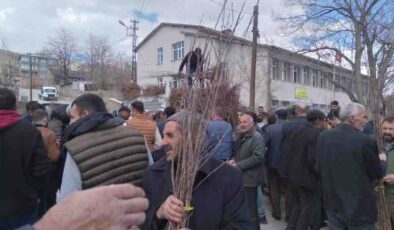 Van’da çiftçilere fidan dağıtımı