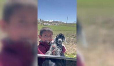 Van’da öğretmen ile öğrencisinin oğlak diyaloğu gülümsetti