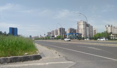 Uzayan çimler trafiği tehlikeye atıyor