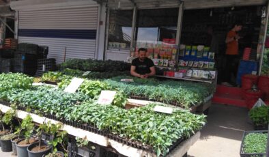 Diyarbakır’da ilk fideler satışa sunuldu