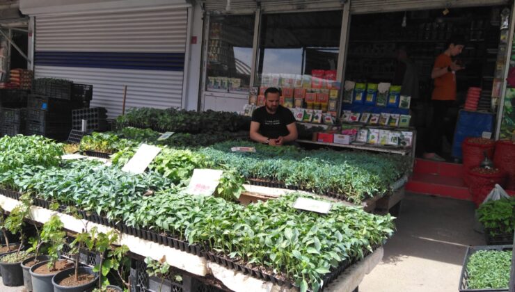 Diyarbakır’da ilk fideler satışa sunuldu