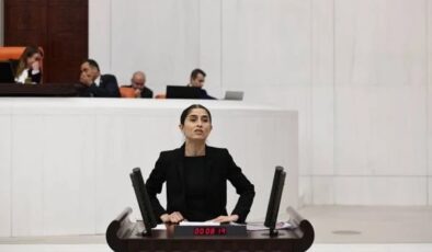Milletvekili Ceylan Akça Milli Eğitimdeki ihaleleri sordu