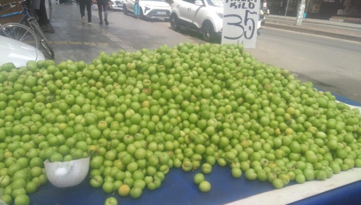 Ağızları sulandıran lezzet tezgahlarda yerini aldı