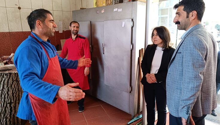 Kulp’ta seçimi kazanan DEM Parti esnafları ziyaret etti.